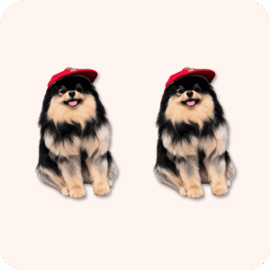 Yeontan Plush 2PCS