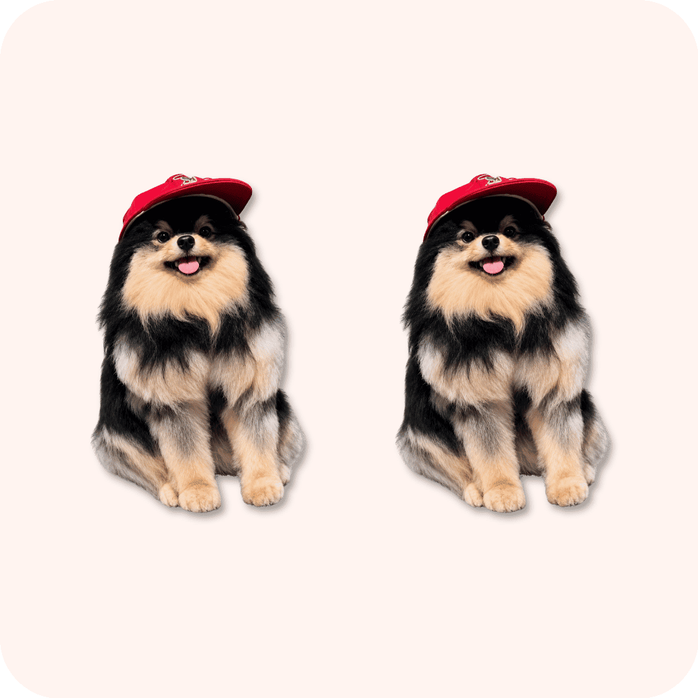 Yeontan Plush 2PCS Yeontan Plush 2PCS