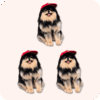 Yeontan Plush 3PCS