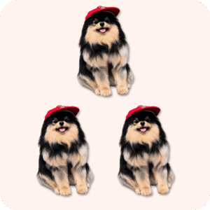 Yeontan Plush 3PCS