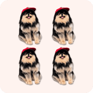 Yeontan Plush 4PCS