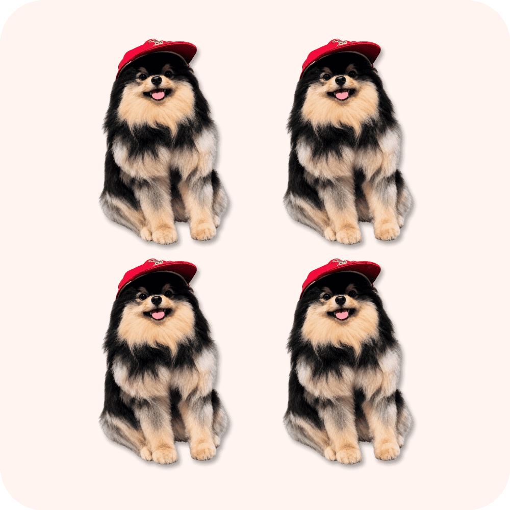 Yeontan Plush 4PCS Yeontan Plush 4PCS