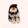 Yeontan Plush