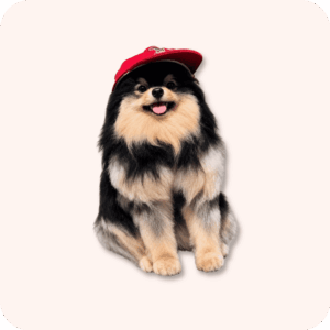 Yeontan Plush