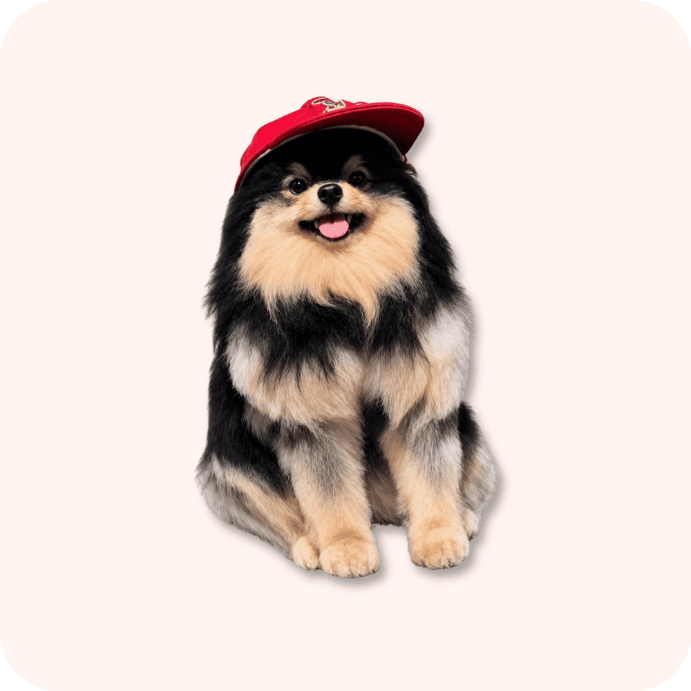 Yeontan Plush Yeontan Plush